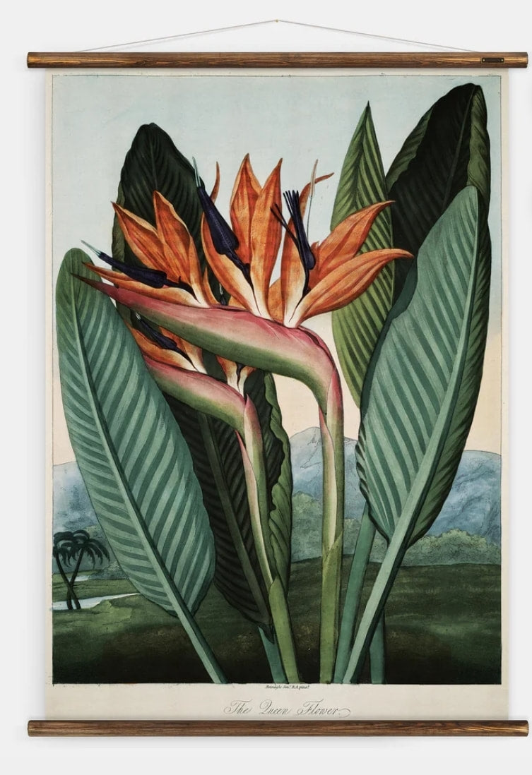 Einst - Die Königin-Blumen-Wandkarte