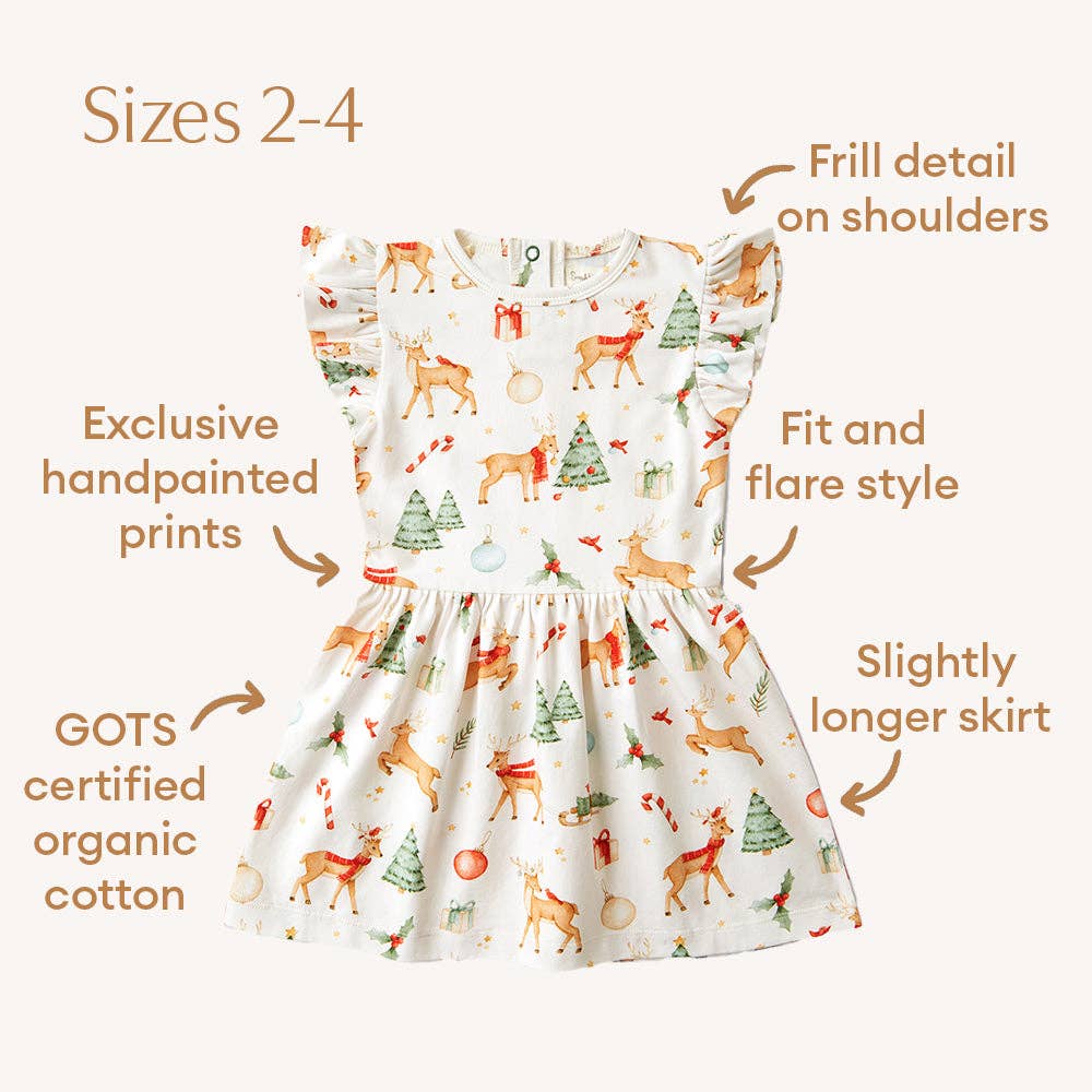 Prancer & Friends Short Sleeve Organic Dress: Size 2