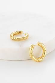 Alannah Hoop Gold Earrings 6269