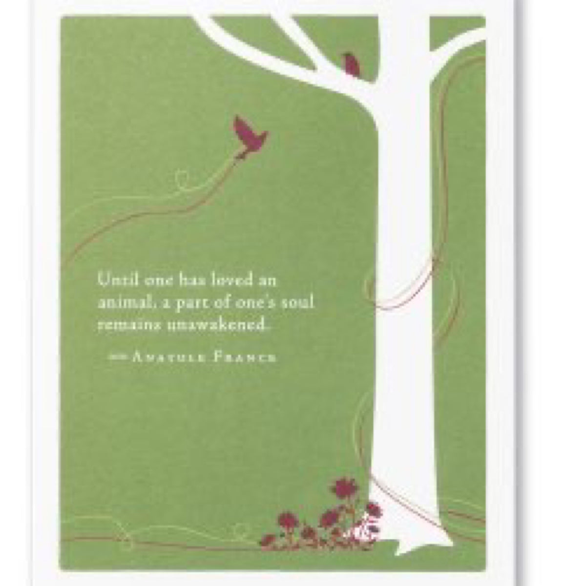 Pet Sympathy - Until One Has Loved