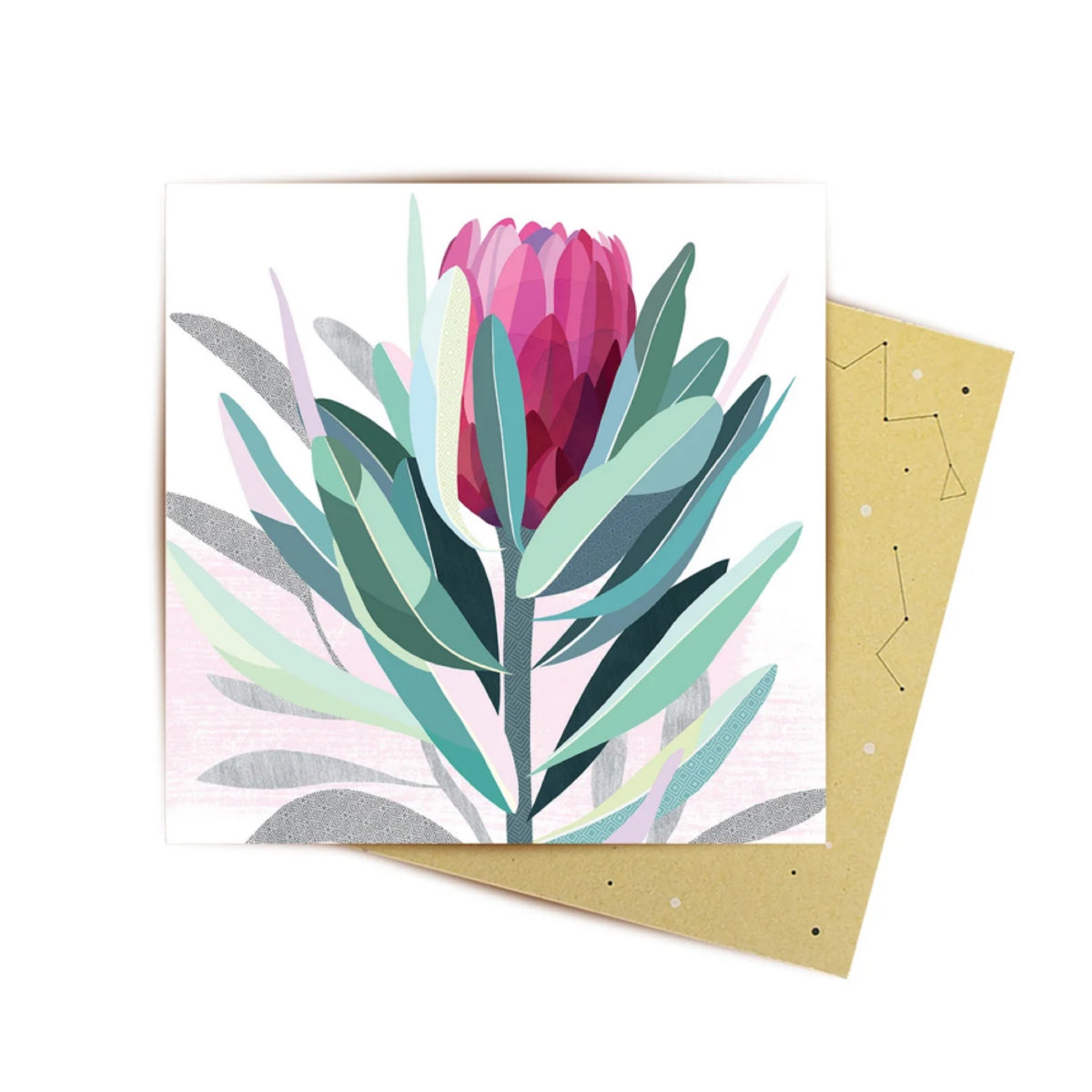 La La Land Protea Mini Card