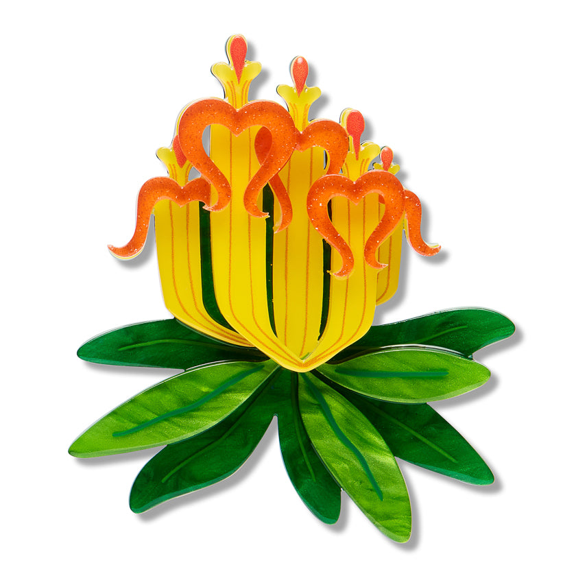 Erstwilder Long Flower Mistletoe Brooch