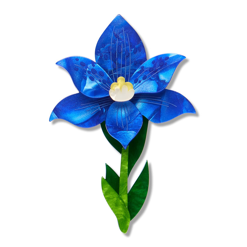 Erstwilder Spotted Sun-Orchid Brooch