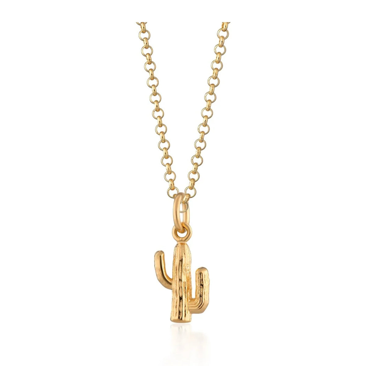 Scream Pretty Kaktus-Halskette mit langer Kette