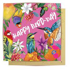 La La Land Tropicana Happy Birthday Fruit FC-LL797