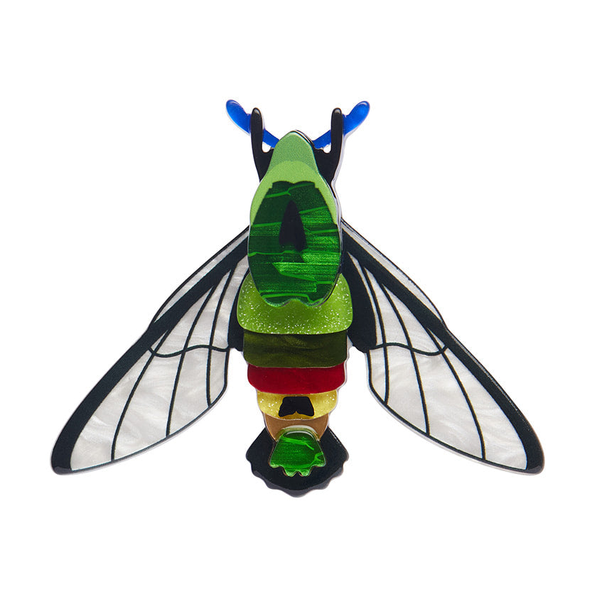Glimmer the hawk moth