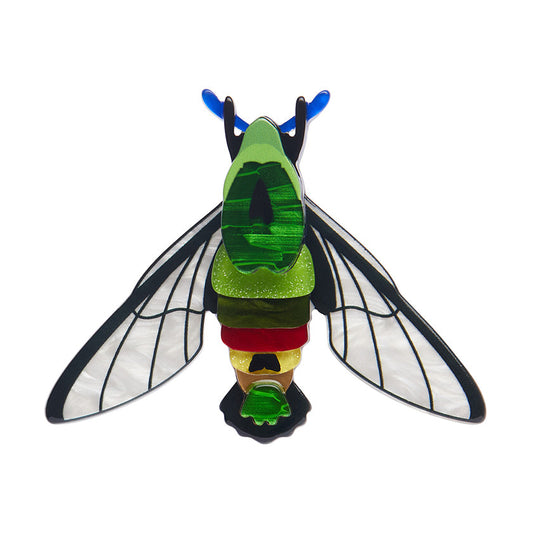 Glimmer the hawk moth