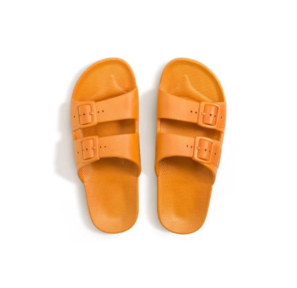 Freedom Moses Slides