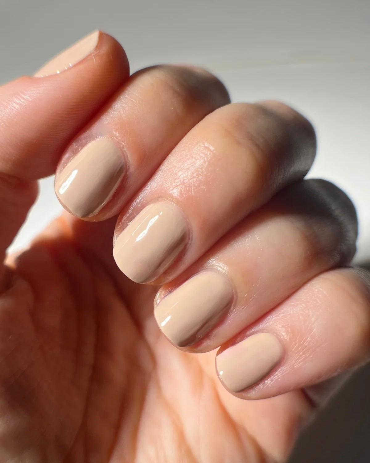 Miss Frankie First Impressions
