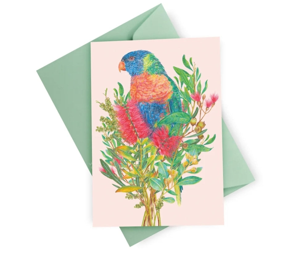Kayla Reay Rainbow Lorikeet