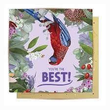 La La Land Bester Rosella FC-LL665