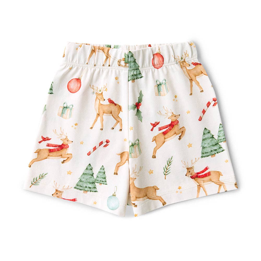 Prancer & Friends Organic Kids PJ Set: Size 4