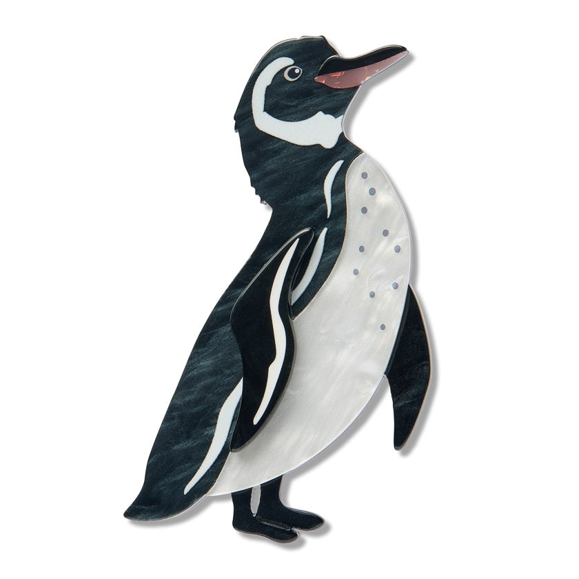 Erstwilder Galapagos Pinguin Brosche