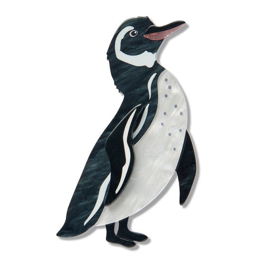 Erstwilder Galapagos Penguin Broovh