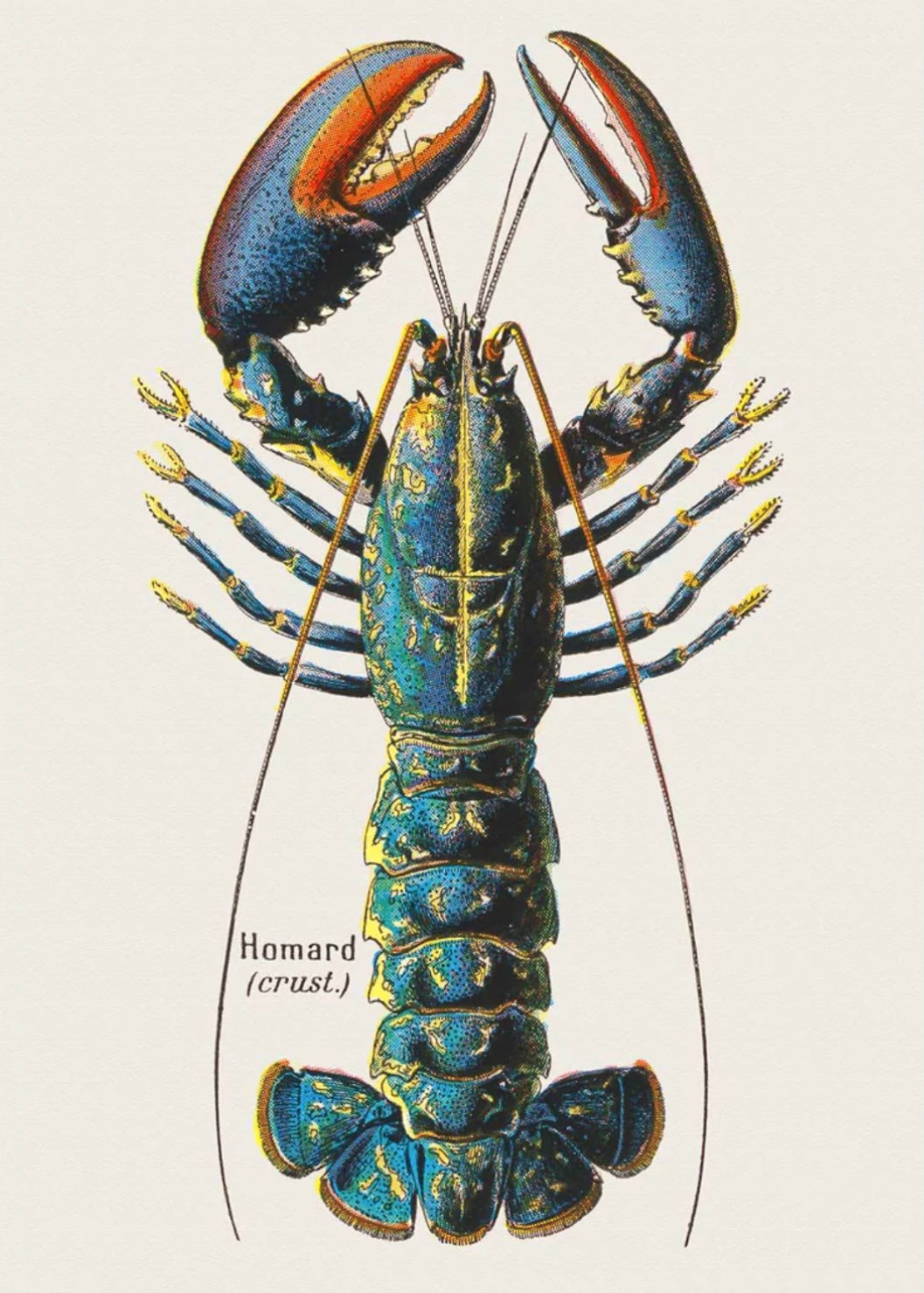 Retro Print French Lobster Card 801