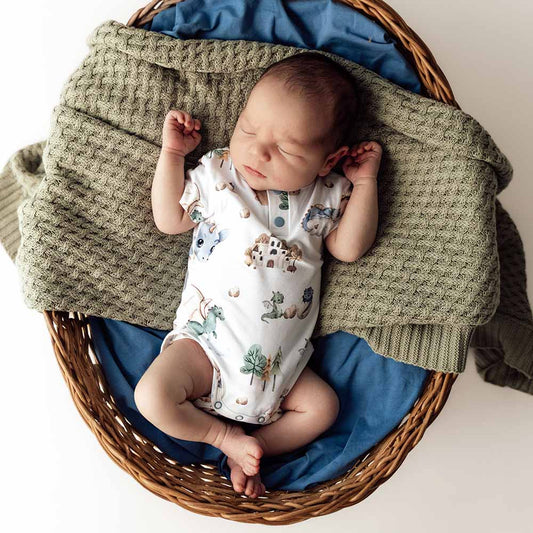 Dragon Short Sleeve Organic Bodysuit: 0-3 Months (000)