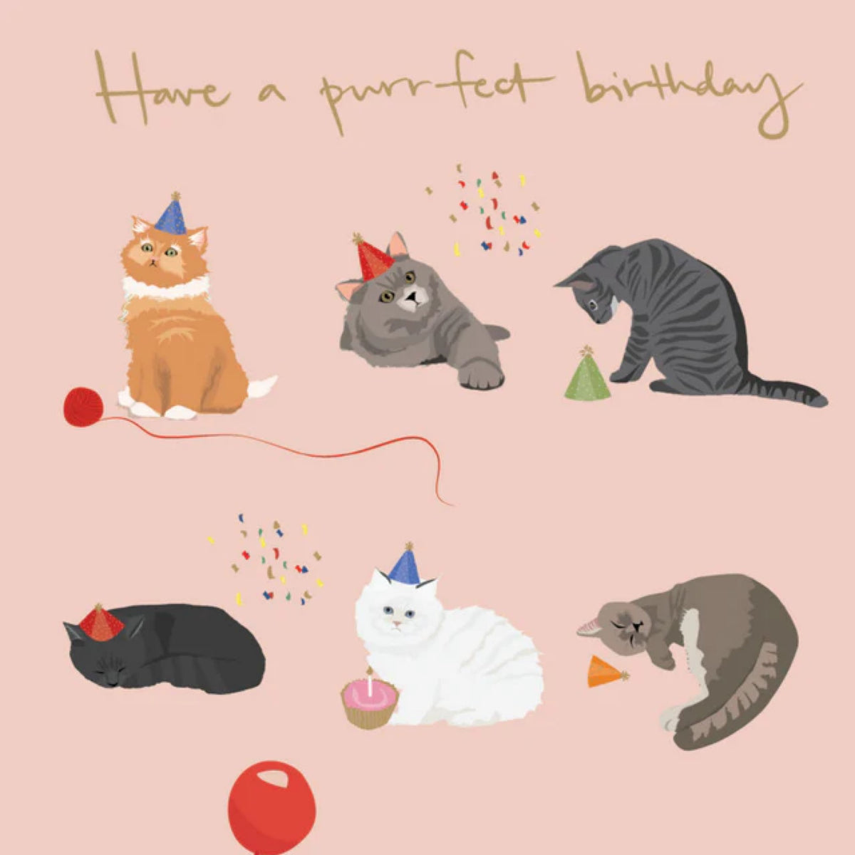 Have a Purrfect Birthday Card