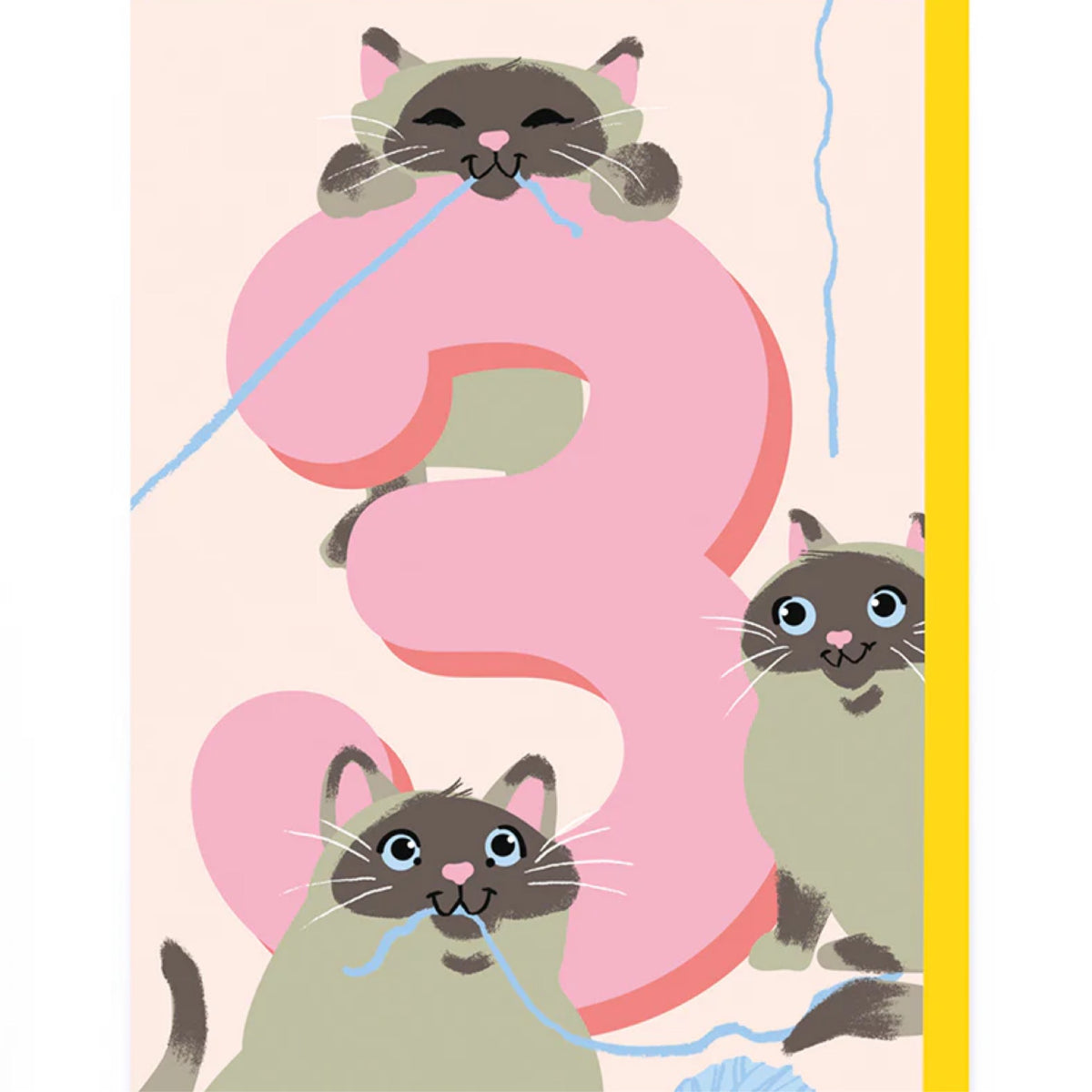 Katzenkarte, 3 Jahre