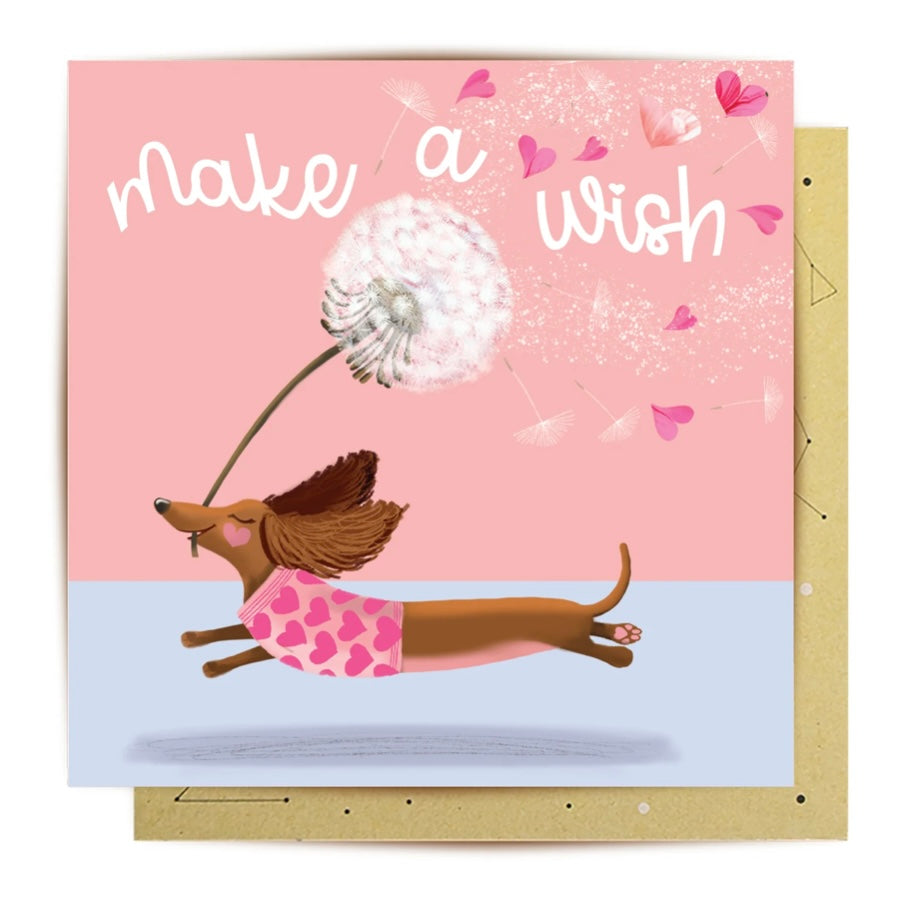 Make A Wish Dackel FC-DH46