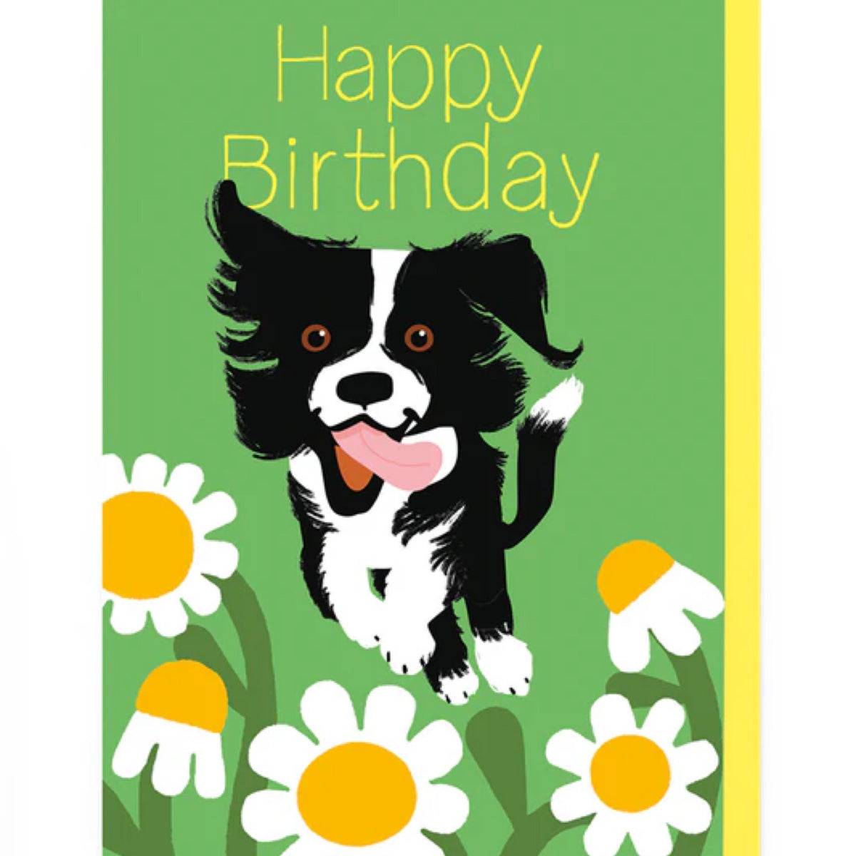 Border Collie und Bienen Happy Birthday Grußkarte
