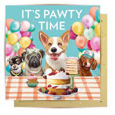 La La Land Pawty Time FC-LL274