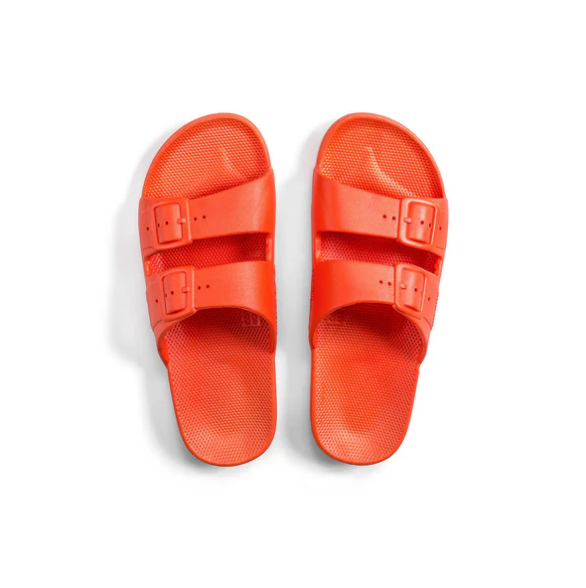 Freedom Moses Slides