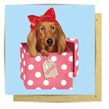 La La Land Dog Surprise FC-LL642