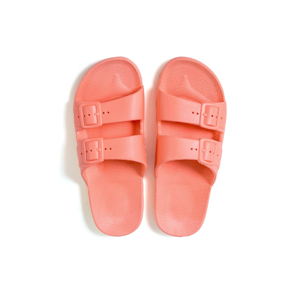 Freedom Moses Slides