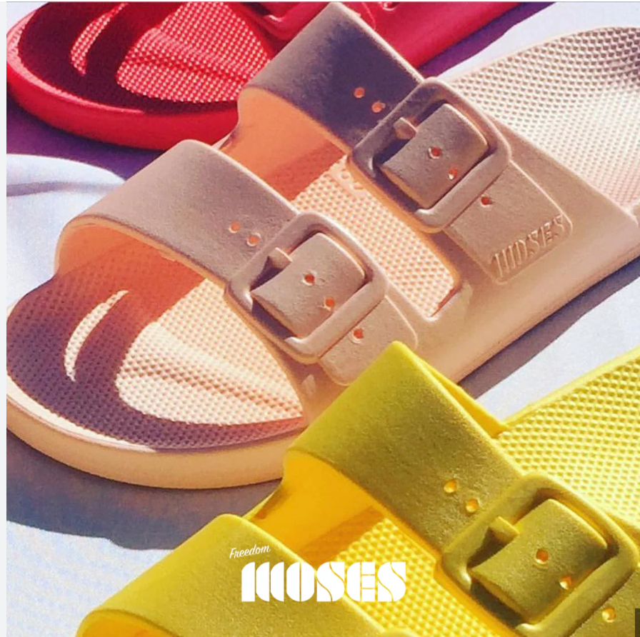 Freedom Moses Slides