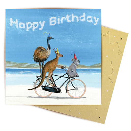Birthday Beach Bike FC-ML17